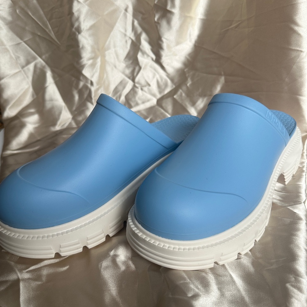 Blue Mules & Clogs